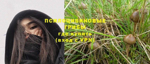 дурь Балахна