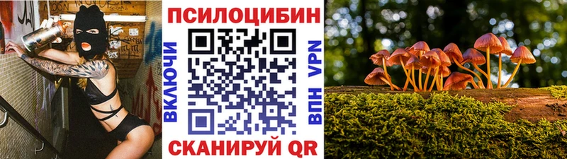 KRAKEN как войти Невель Псилоцибиновые грибы MAGIC MUSHROOMS